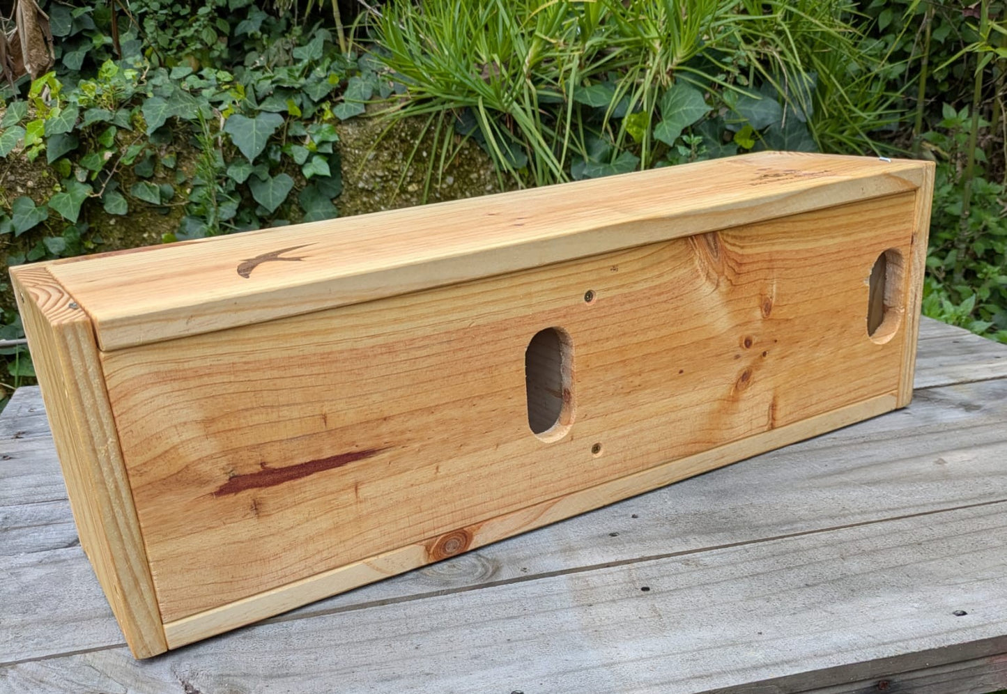 Caja nido doble para vencejo común y vencejo pálido