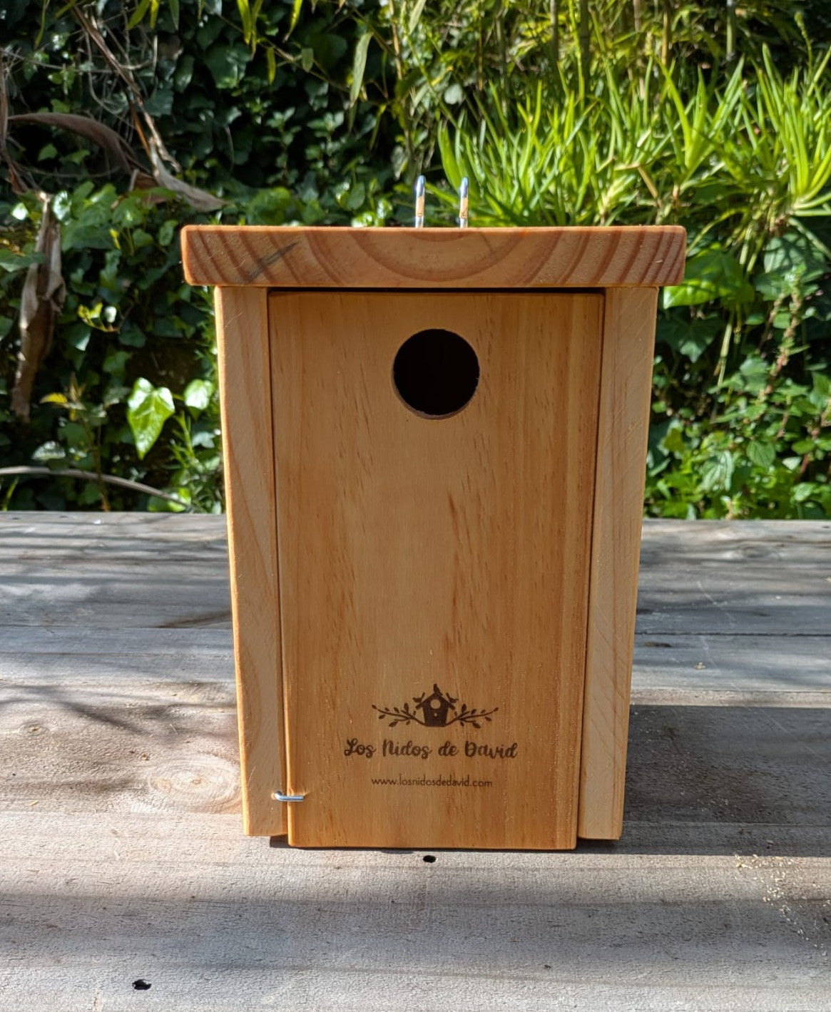 Cajas nido para aves insectívoras 