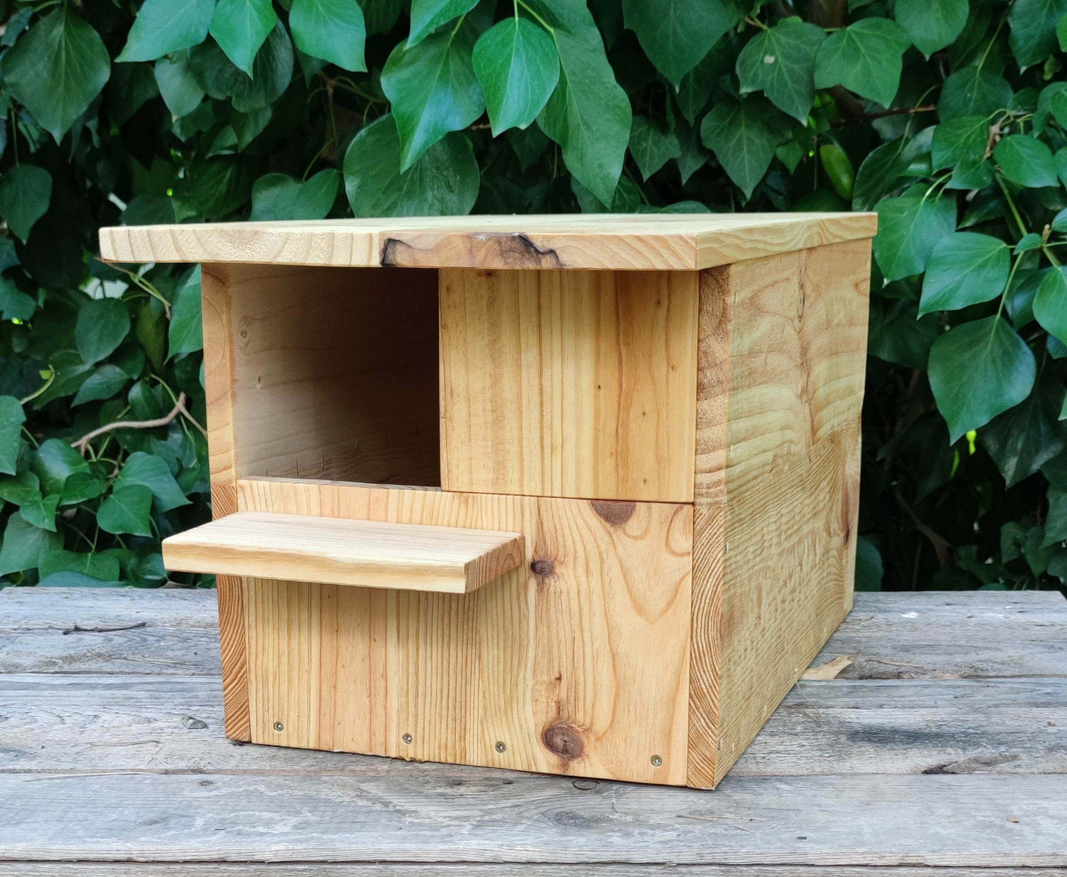 Cajas nido para pequeñas rapaces 