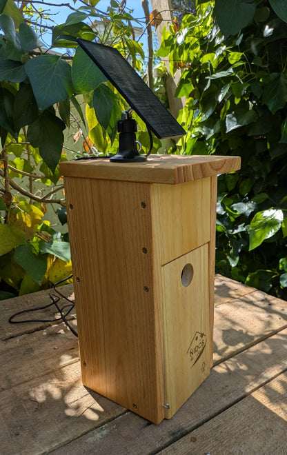 Caja nido para páridos con cámara Wifi - Los Nidos de David