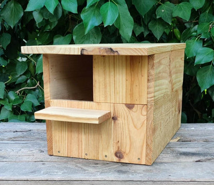Caja nido para cernícalo vulgar modelo Kestrel - Los Nidos de David