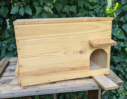 Caja nido para lechuza común - Los Nidos de David