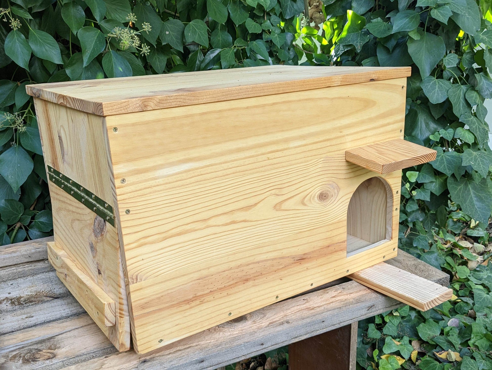 Caja nido para lechuza común - Los Nidos de David
