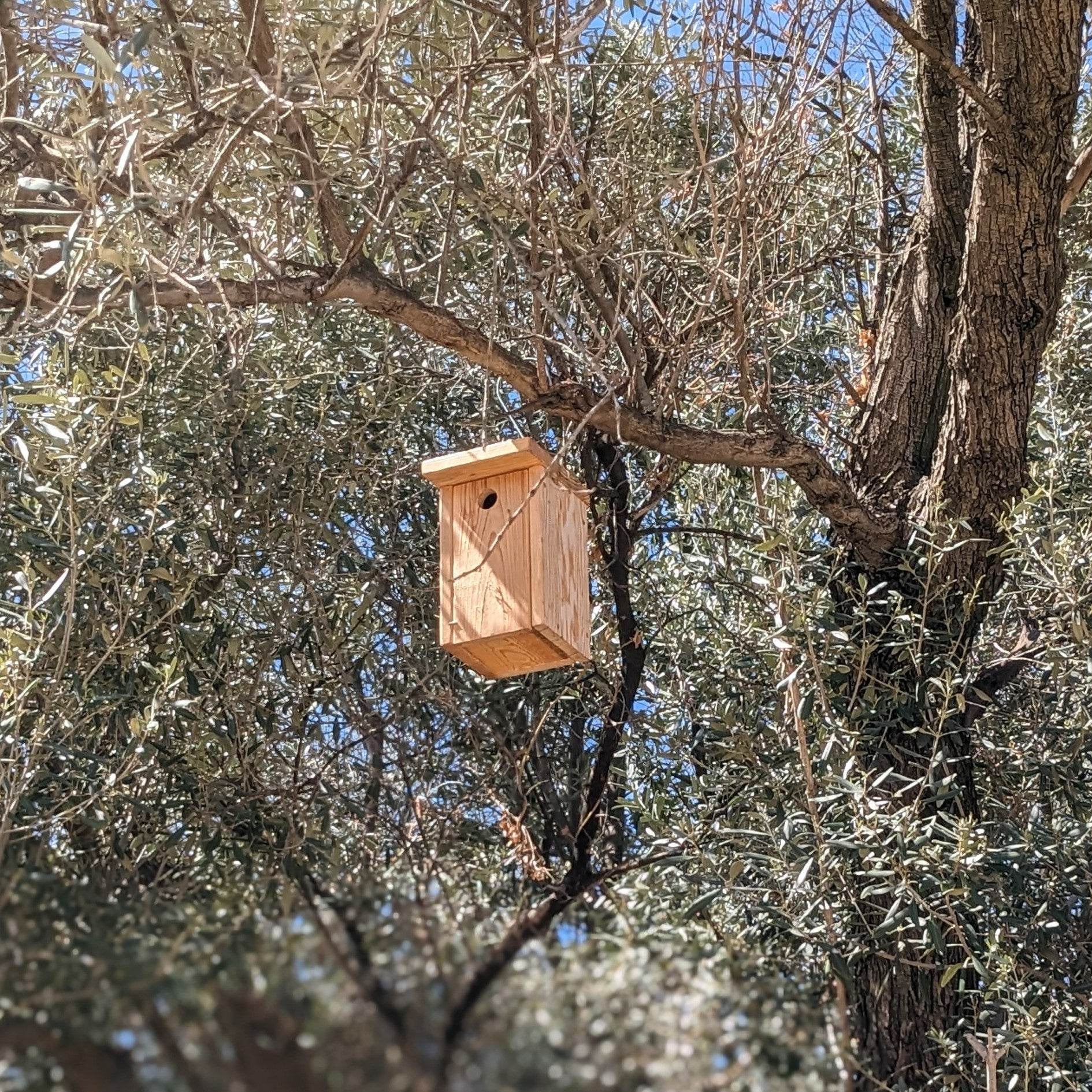 Caja nido artesanal para páridos en madera natural sin tratar