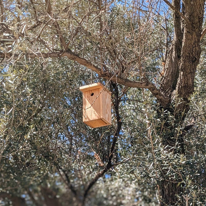 Caja nido artesanal para páridos en madera natural sin tratar