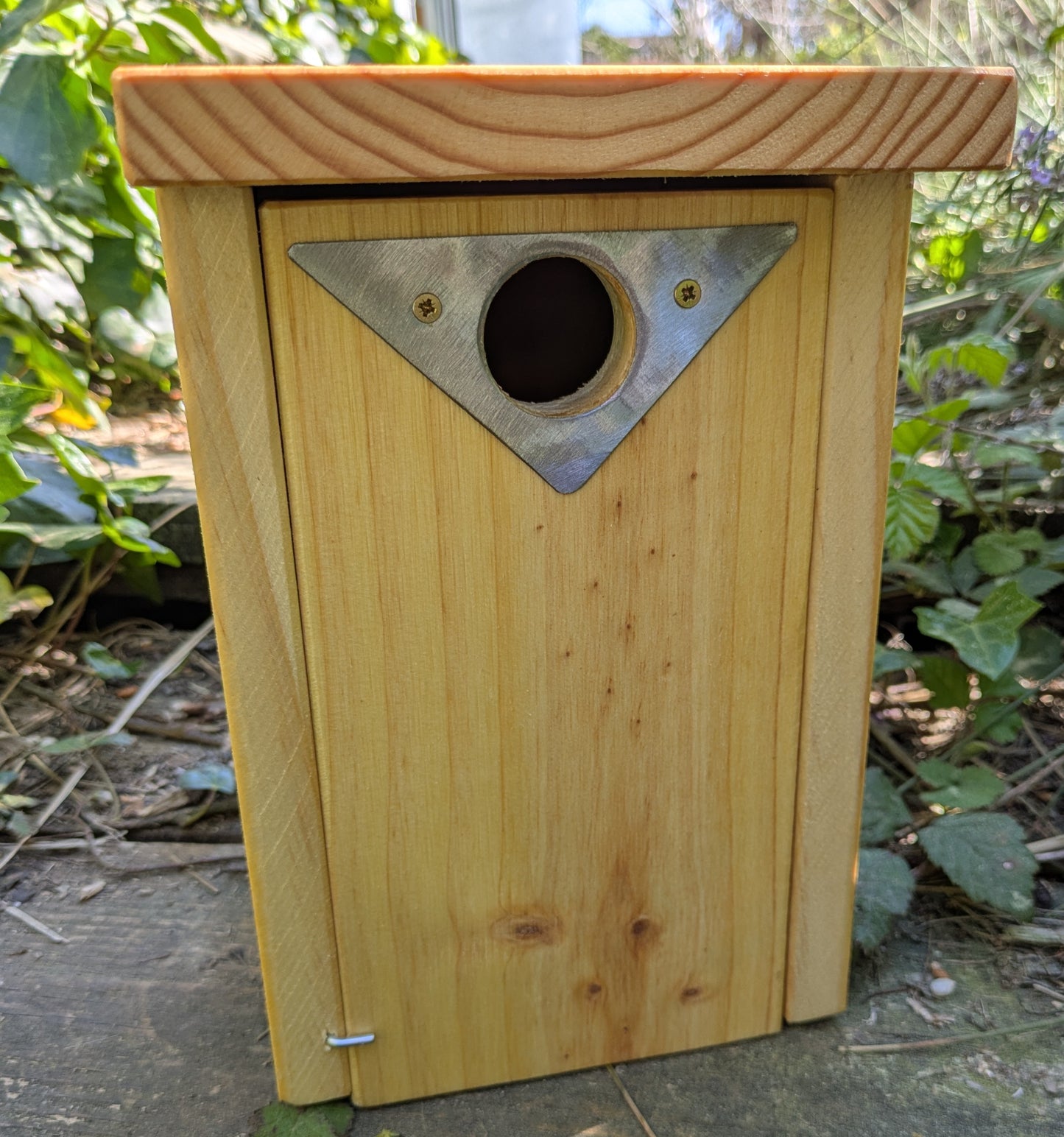 Caja nido para páridos con placa antipícidos