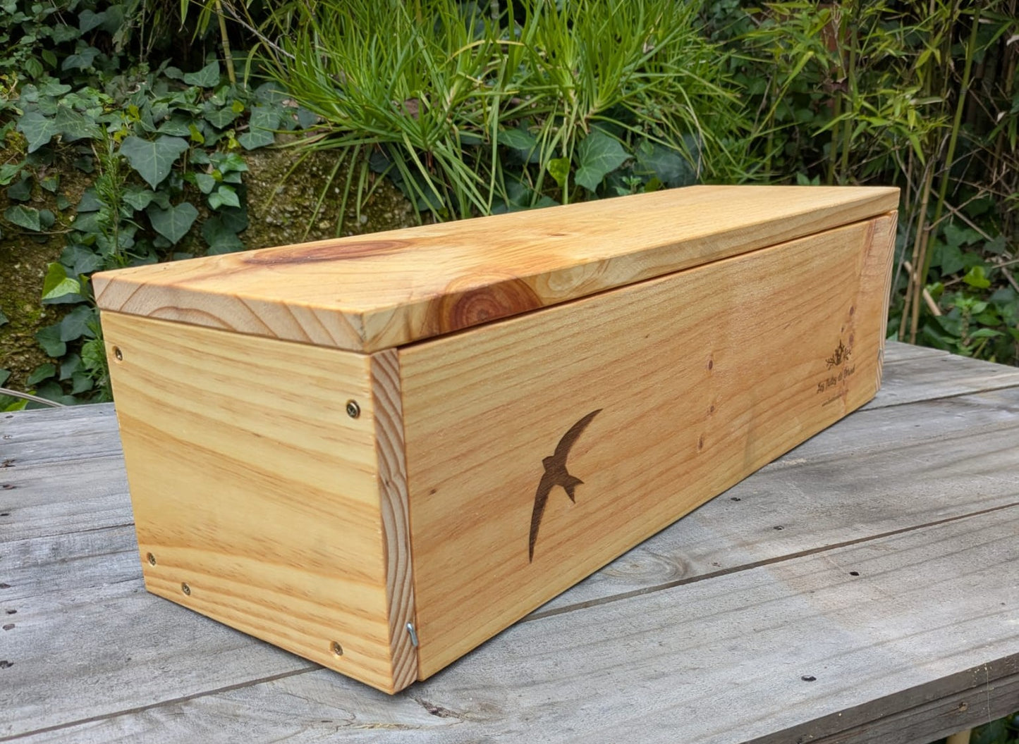 Caja nido doble para vencejo común y vencejo pálido