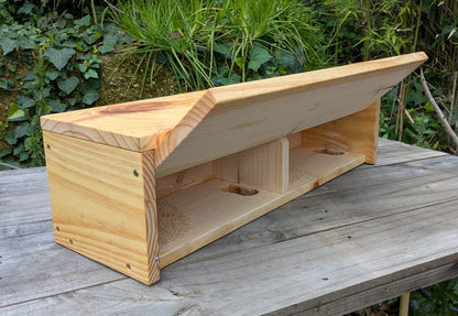 Caja nido doble para vencejo común y vencejo pálido