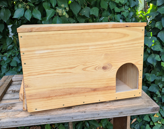 Caja nido para lechuza común