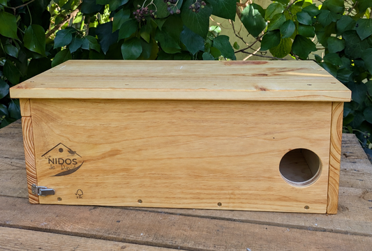 Caja nido para mochuelo común