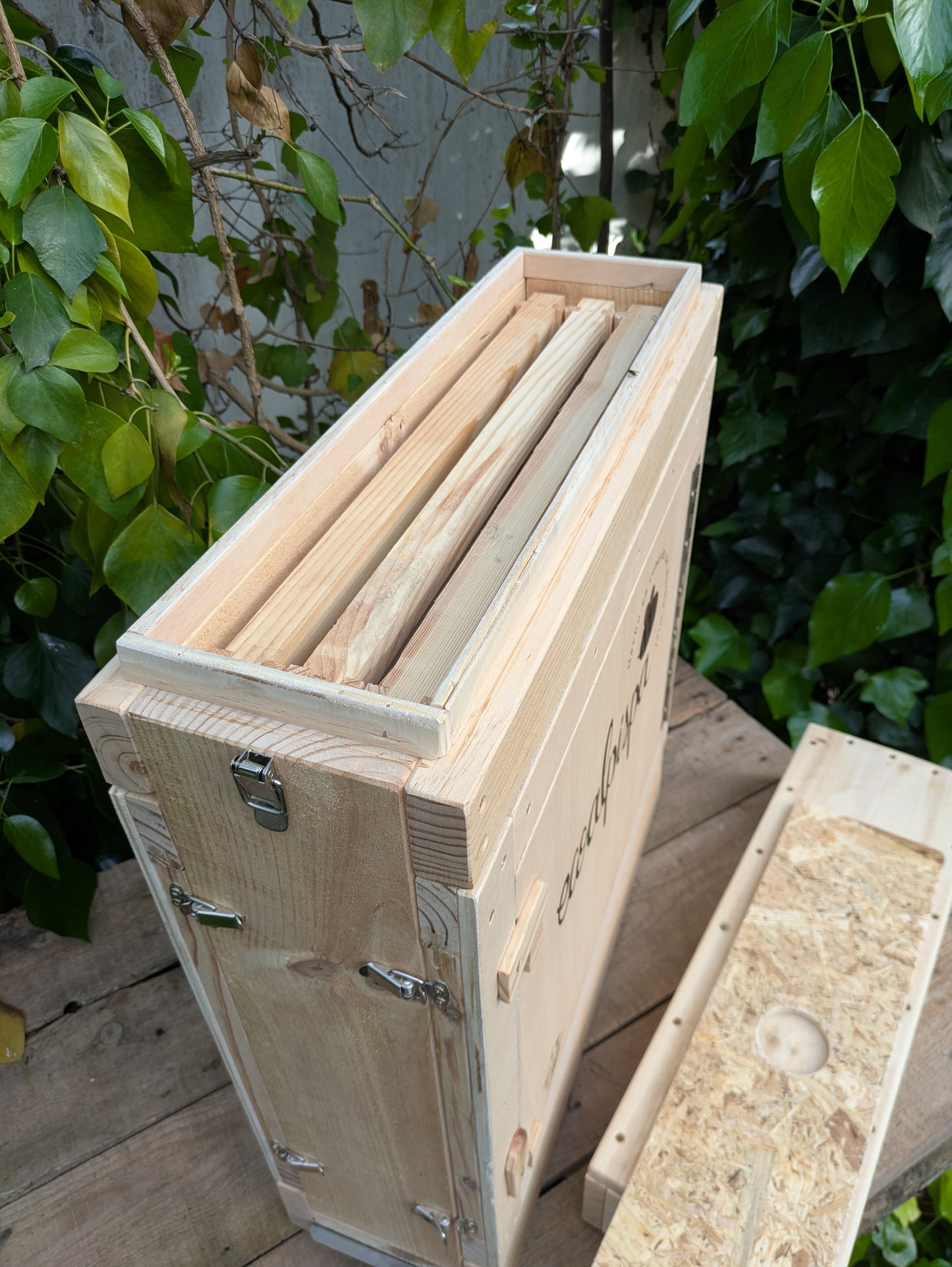 Observation hive for honeybees