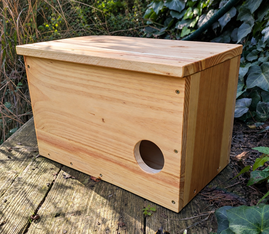Caja nido para cernícalo primilla