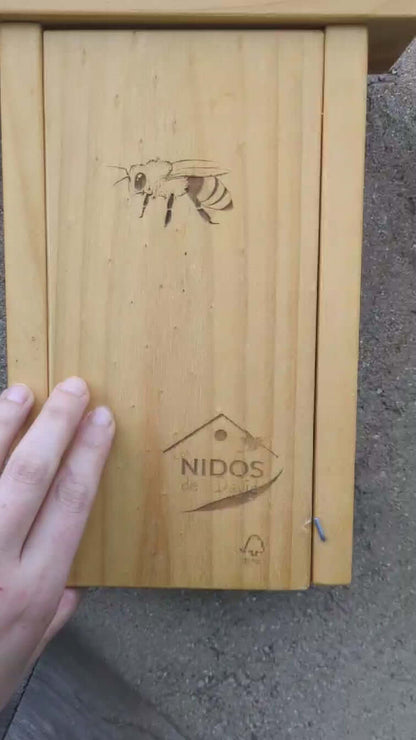 Observation hotel for solitary bees
